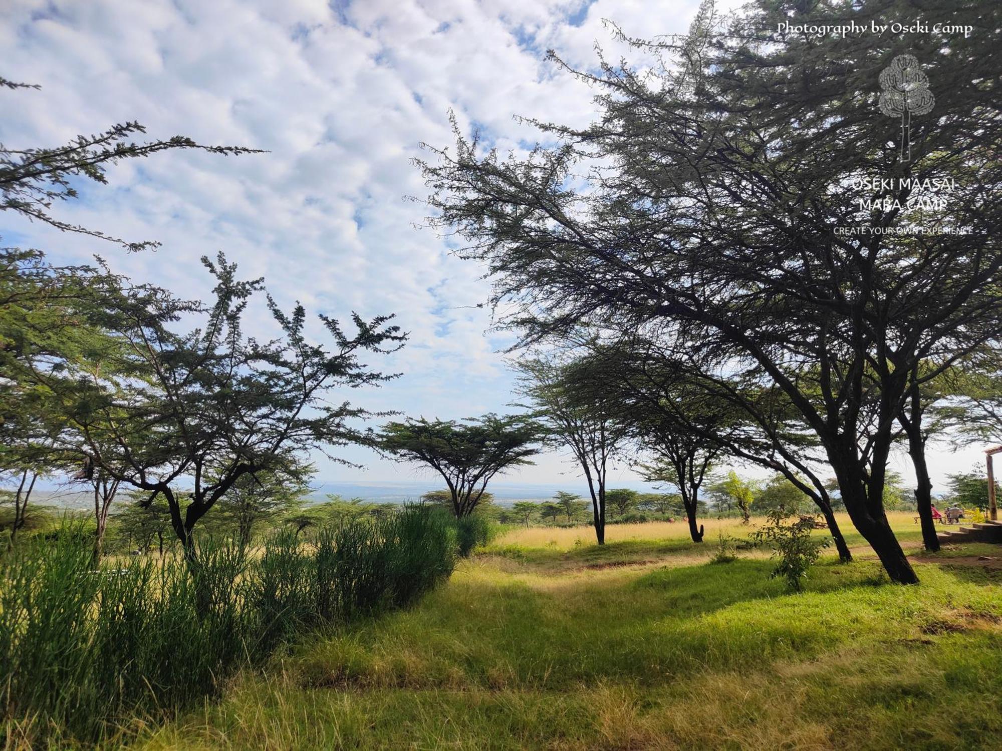 Oseki Maasai Mara Camp Hotel Narok Exterior photo